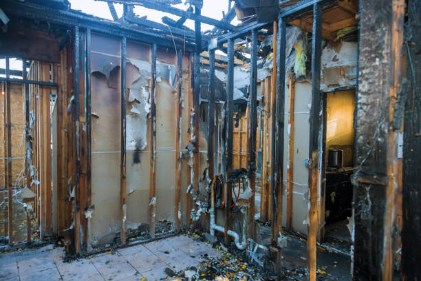 Professional Emergency Fire Cleanup technician working in Lake Belvedere Estates, FL